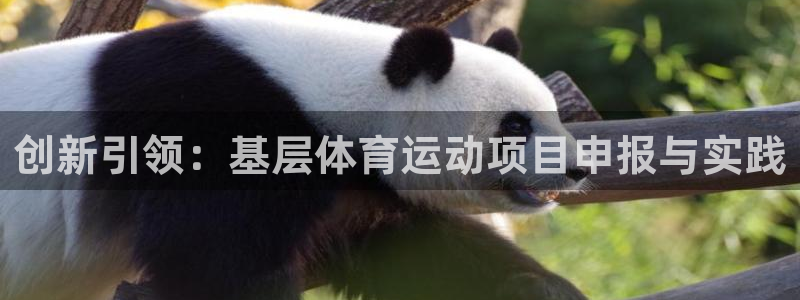 3377体育官方app下载