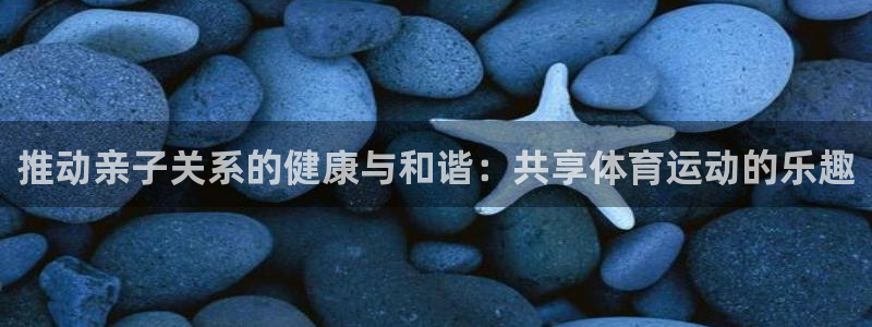 3377体育官网下载