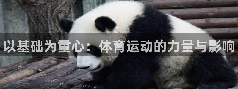 3377体育官网入口下载最新
