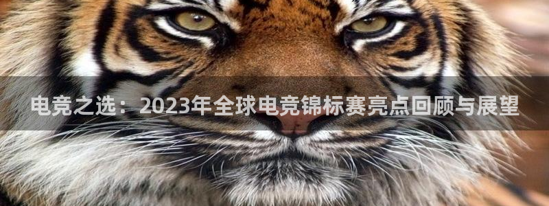 3377体育官网入口下载最新