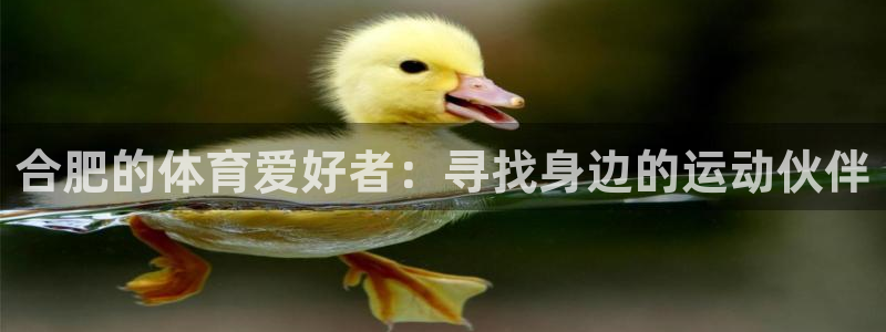 3377体育中国官方网站入口