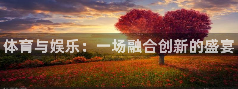 3377体育官网