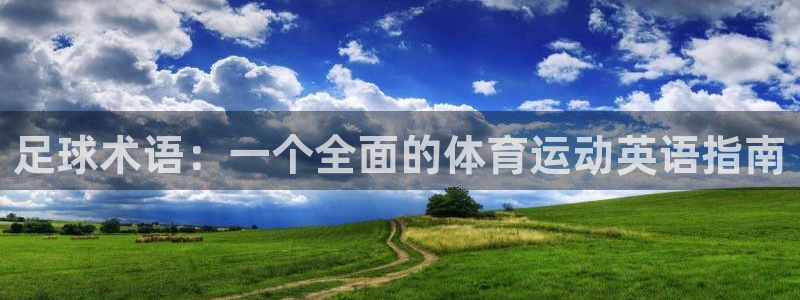 3377体育官网入口网页版