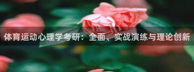 3377体育网页登录入口
