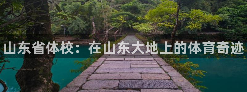 3377体育官网
