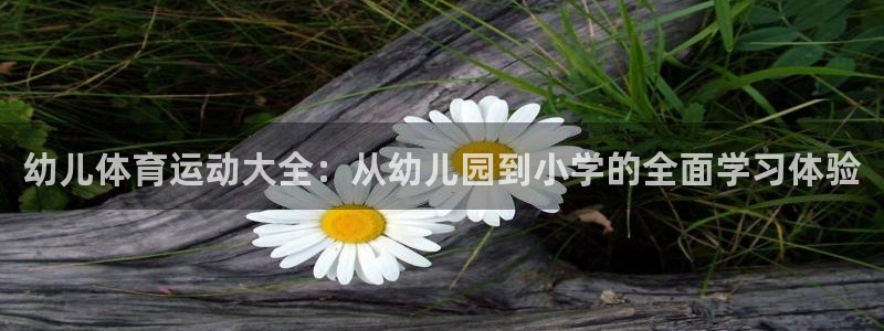 3377体育app登录入口