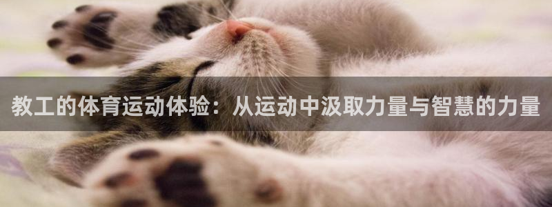3377体育app官方下载
